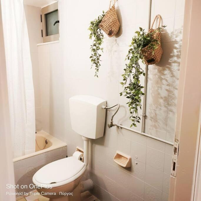 New Modern Flat Pyrgos Centre Olympia Διαμέρισμα Εξωτερικό φωτογραφία