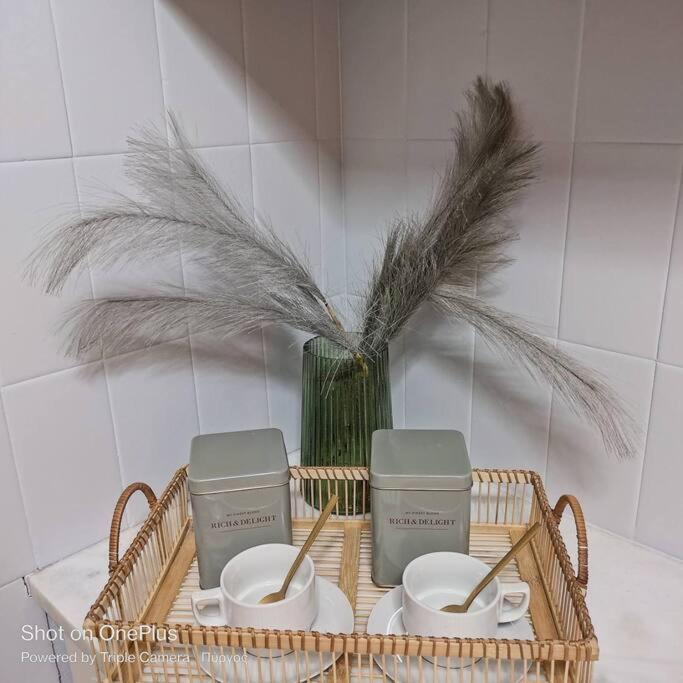 New Modern Flat Pyrgos Centre Olympia Διαμέρισμα Εξωτερικό φωτογραφία
